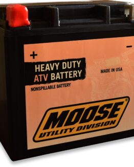 AGM Maintenance Free Battery
