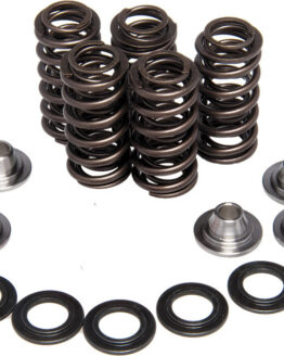 Racing Valve Spring Kit