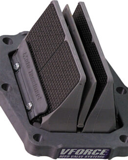 Delta 2 Reed Valve System