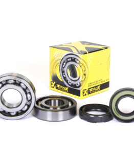 Crankshaft Bearing & Seal Kit