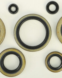 Vertex Oil Seal Kit Fits 86-88 Kawasaki KDX200