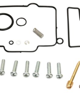 Carburetor Repair Kit