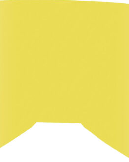 Replacement Gold Mirror/Smoke Lens w/Posts For Youth Zone/Focus Goggle