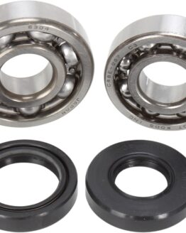 Main Bearings and Seal Kits