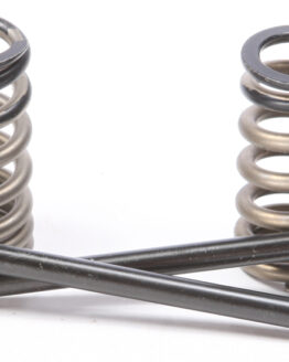 Steel Exhaust Valve/Spring Kit