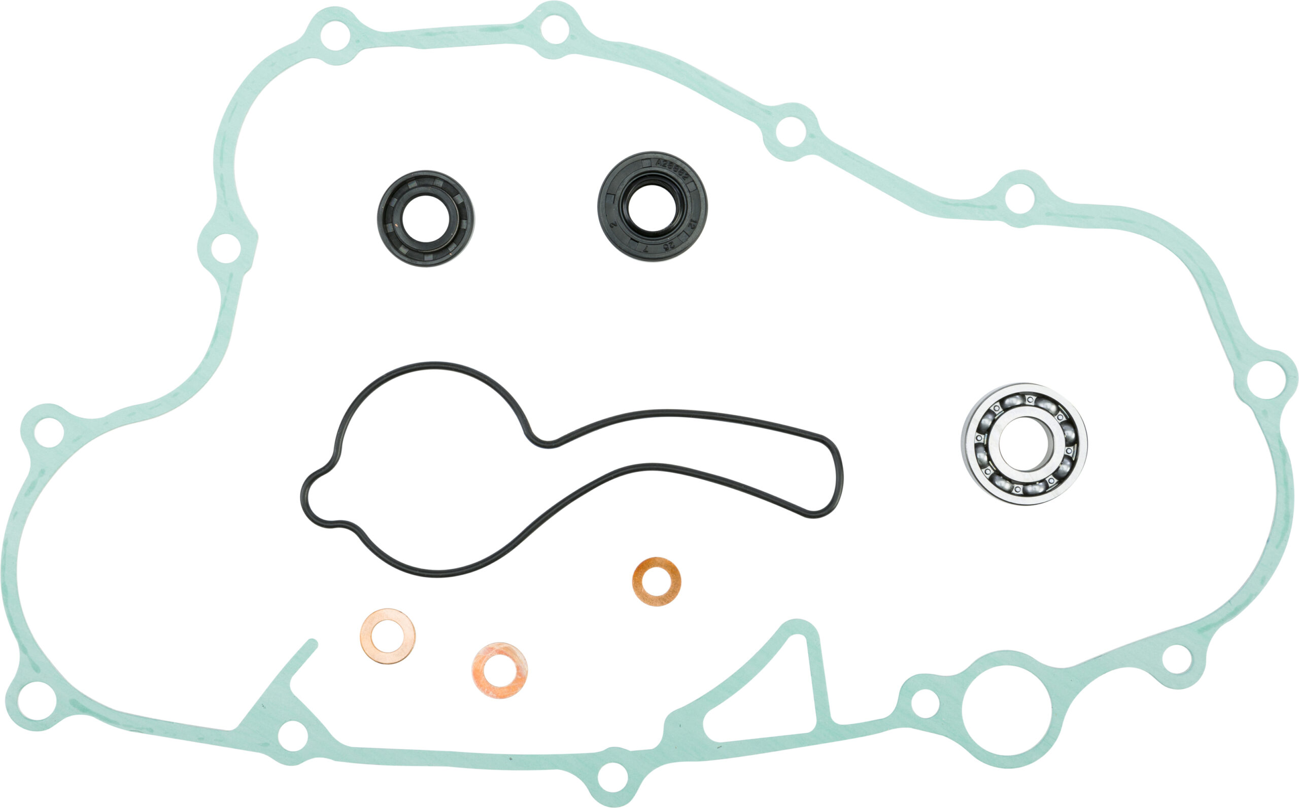 43e8-5bbb92d46f8e4.jpg 43e8-5bbb92d46f8e4.jpg