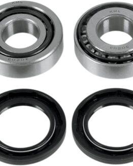 Swingarm Bearing Kit