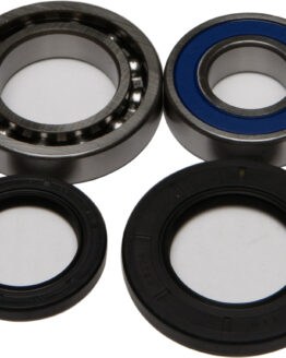 Wheel Bearing & Seal Kit