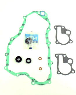 Water Pump Repair Kit