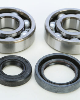 Crankshaft Bearing & Seal Kit