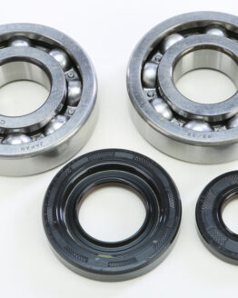 Crankshaft Bearing & Seal Kit