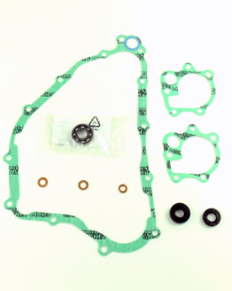 Water Pump Repair Kit
