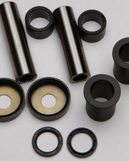 Swing Arm Bearing Kit