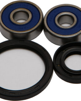 Wheel Bearing & Seal Kit