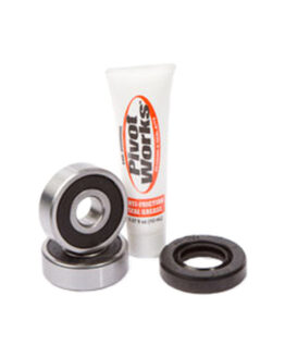 Rear Wheel Bearing Kit