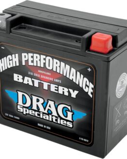 YTX AGM Maintenance Free Battery 310CCA 12V 18Ah Factory Activated