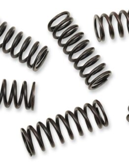 Barnett Clutch Spring Kit