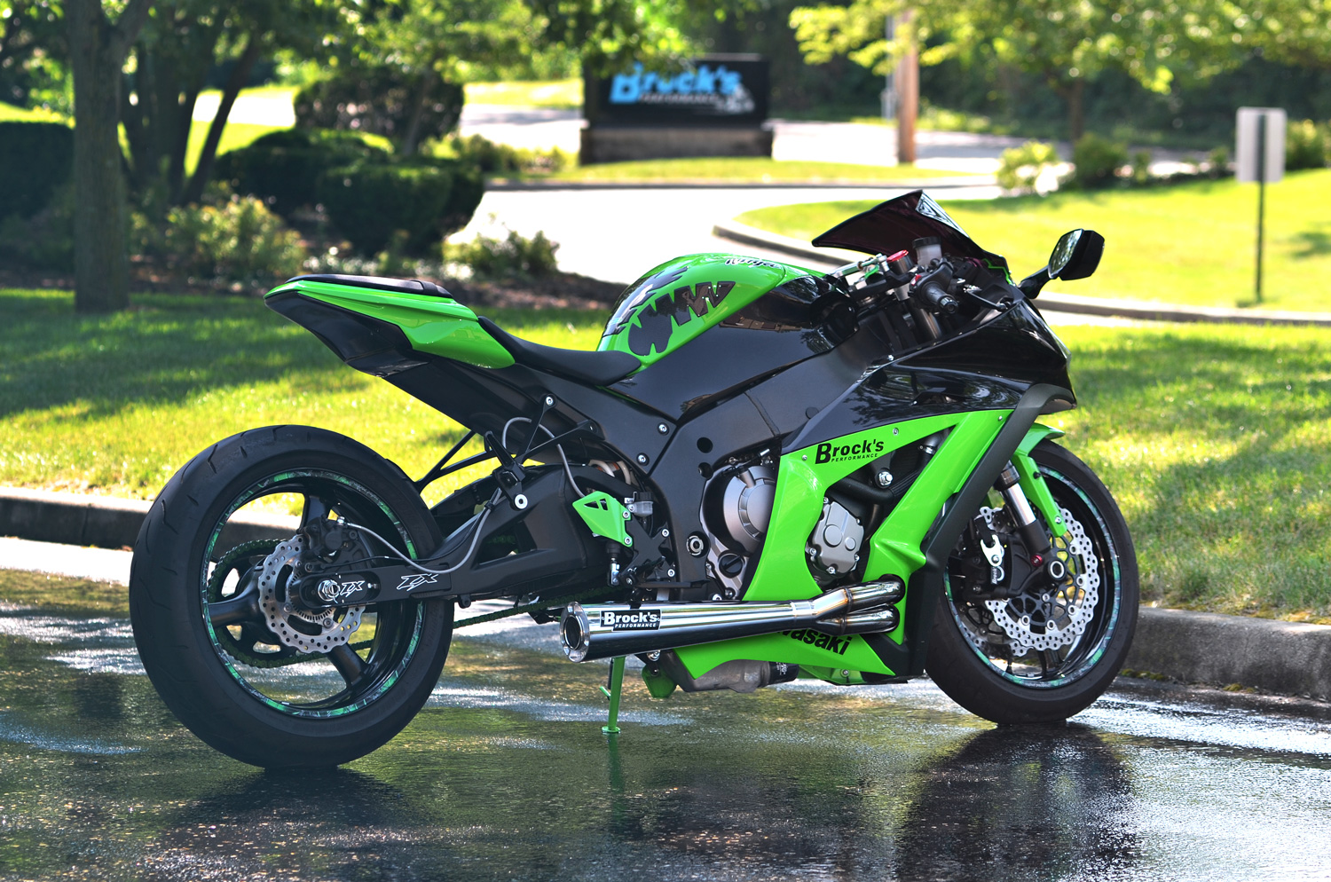 Brocks_397736.jpg Brocks_397736.jpg