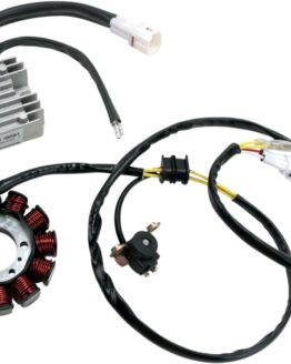 Stator w/ Regulator - 140 Watt Charging Kit
