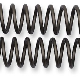 Fork Springs 0.44KG