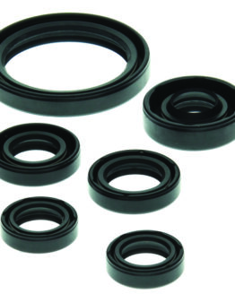 Vertex Oil Seal Kit Fits 2004-2009 Yamaha YFZ450