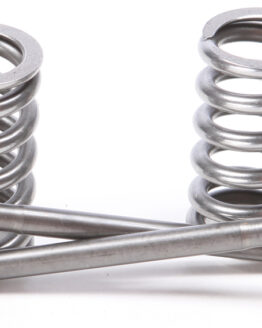 Steel Intake Valve/Spring Kit