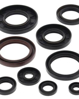 Vertex Engine Oil Seal Kit 822233