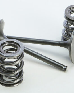 Steel Intake Valve/Spring Kit