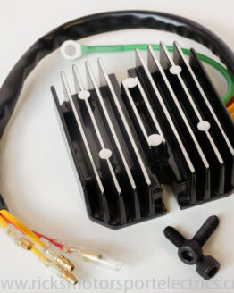 Lithium Battery Regulator/Rectifier