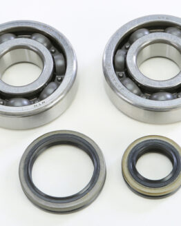 Crankshaft Bearing & Seal Kit
