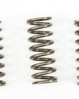 EBC CSK Coil Clutch Spring Kit (5 Pcs) Fits 17-19 BMW G 310 GS