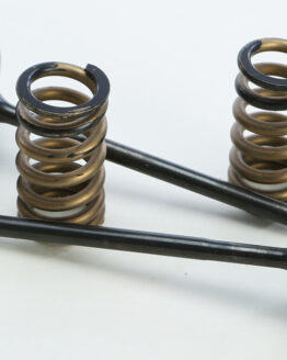 Steel Intake Valve/Spring Kit