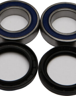 Wheel Bearing & Seal Kit