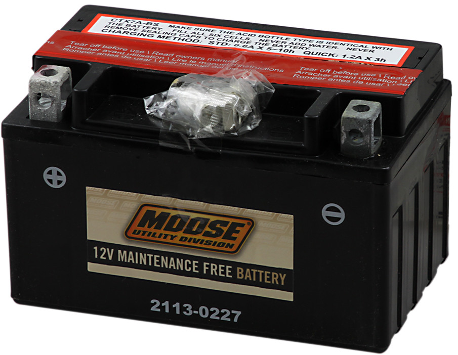 moose_2113-0227.jpg moose_2113-0227.jpg