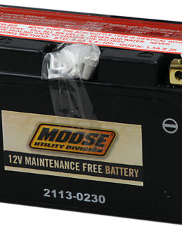 YT AGM Maintenance Free Battery 120CCA 12V 6.5Ah