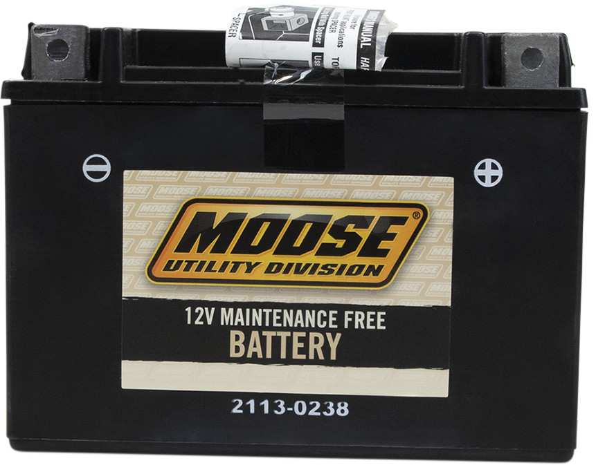 moose_2113-0238.jpg moose_2113-0238.jpg