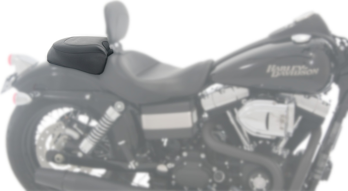 mustang_79359.jpg mustang_79359.jpg