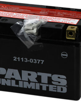 AGM Maintenance Free Battery 230CCA 12V 11.2Ah