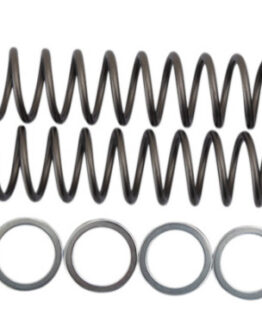 Fork Spring 0.54kg